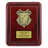 Rosewood Gallery Plaque with Deep Cut Boarder