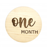 Set of 12 Round Monthly Signs
