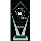 Astana Glass Award