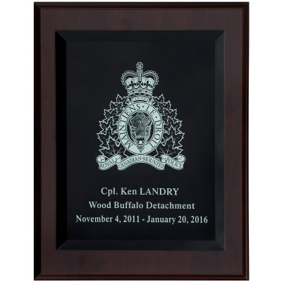 glass engraved plaque etched x13