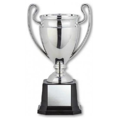8" Cup Trophy